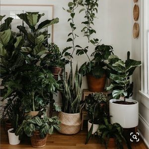 Meet your Posher, Jade